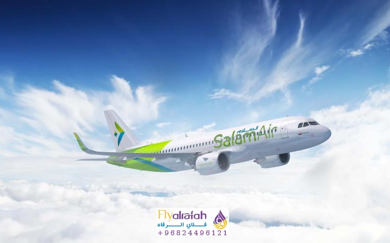 طيران السلام مشهد