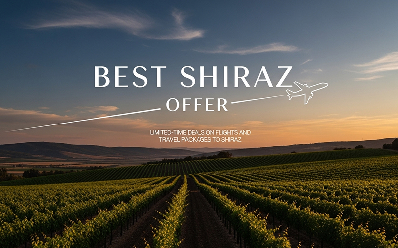 Best Shiraz Offer